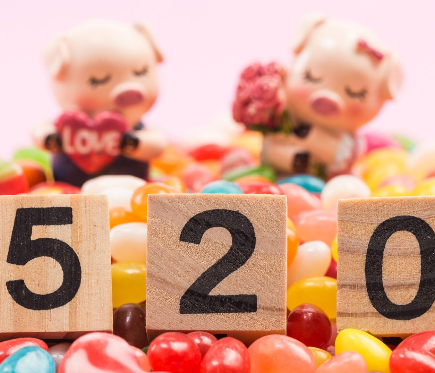 Piggy doll with 520 digital model