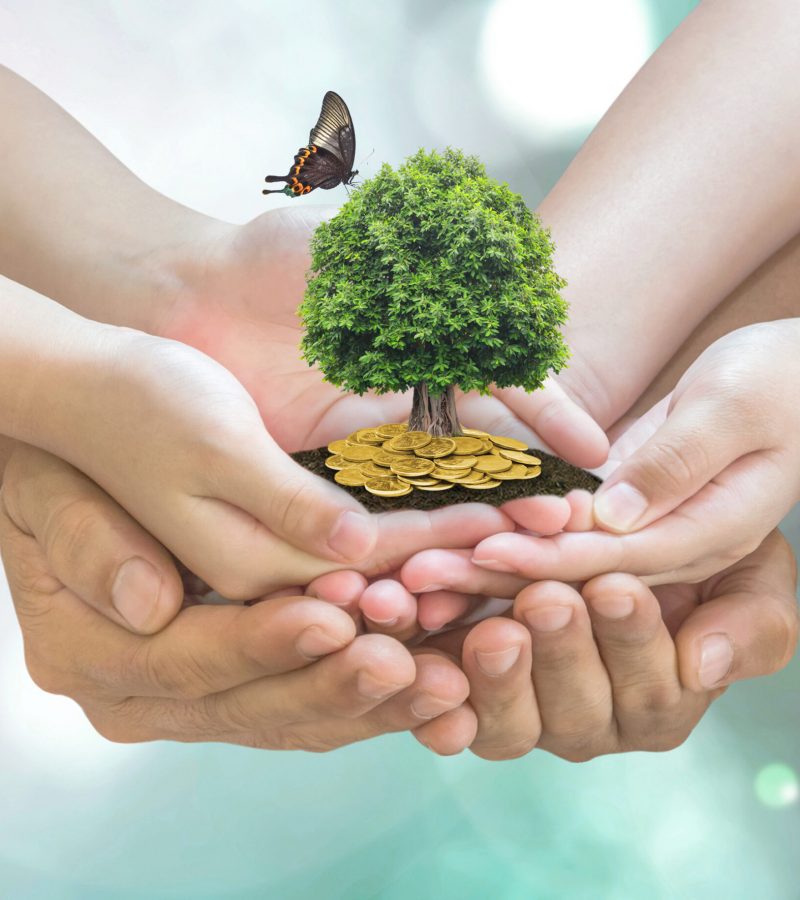 Retirement planning, family financial investment and legacy concept with father parent support children's hands growing tree with wealthy gold coins